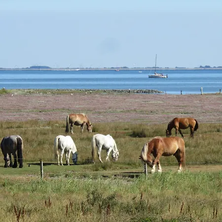 Haus Billstrasse 24b 260 - Duenenliebe